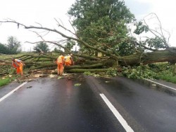Furtuna anunțată a rupt primii pomi pe drumurile județene, blocându-le