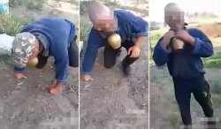 Un consilier PSD a umilit un biet cioban, în cel mai murdar mod