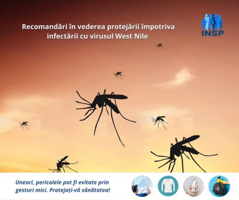 Feriți-vă de țânțarii ucigași. Recomandări de la INSP în vederea protejării împotriva infectării cu virusul West Nile

