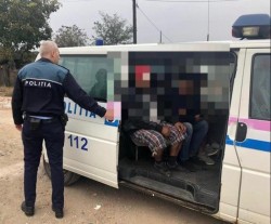 44 de persoane au fost conduse la sediul poliției în urma unei razii în Arad și Sântana