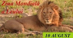 10 august – Ziua Mondială a Leului