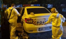 Crima care a șocat Timișoara – O femeie a fost omorâtă în propria casă de un bărbat care a vrut s-o jefuiască