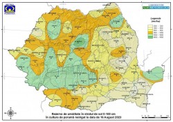 Deficite de apă în sol în județul Arad la cultura de porumb neirigat