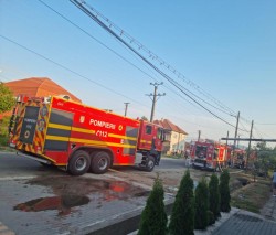 Pompierii au salvat din ghearele flăcărilor o casă din Sebiș

