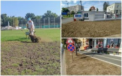 Gazonul de pe stadion a fost replantat în mai multe zone din Arad