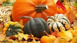 Simbolul Halloween-ului în sărbătoare. 26 octombrie - Ziua Internațională a Dovleacului. Beneficiile pentru sănătate a deliciosului fruct