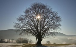 Cea mai scurtă zi din 2023: vineri, 22 decembrie, ziua solstițiului de iarnă