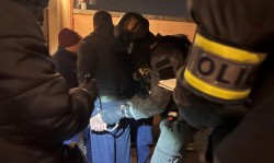 Tentativă de lovitură de stat dejucată în Ungaria. Poliția a reținut mai multe persoane și a confiscat arme de diferite tipuri