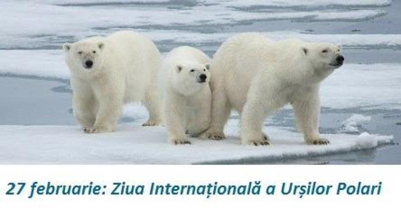 27 februarie – Ziua Internațională a Ursului Polar

