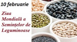 10 februarie - Ziua Mondială a Semințelor de Leguminoase. Beneficiile nutriționale și asupra mediului înconjurător furnizate de aceste semințe



