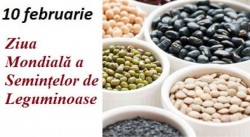 10 februarie - Ziua Mondială a Semințelor de Leguminoase. Beneficiile nutriționale și asupra mediului înconjurător furnizate de aceste semințe



