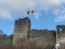 Un zid al cetății Șoimoș s-a prăbușit. Consiliul Județean intervine pentru salvarea Cetății Șoimoș