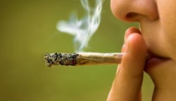 Germania legalizează atât posesia cât și consumul de canabis în scop recreational