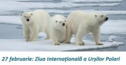 27 februarie – Ziua Internațională a Ursului Polar

