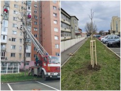 Programul de colectare al deșeurilor voluminoase – primăvara 2024 