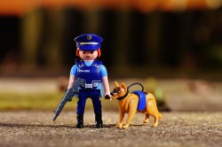 Recrutare pentru 2 posturi de agent de poliție – conductor câini la Poliția Arad. 60 de posturi vacante de agent de poliție (si conductor câine) existente la nivelul Poliției Române

