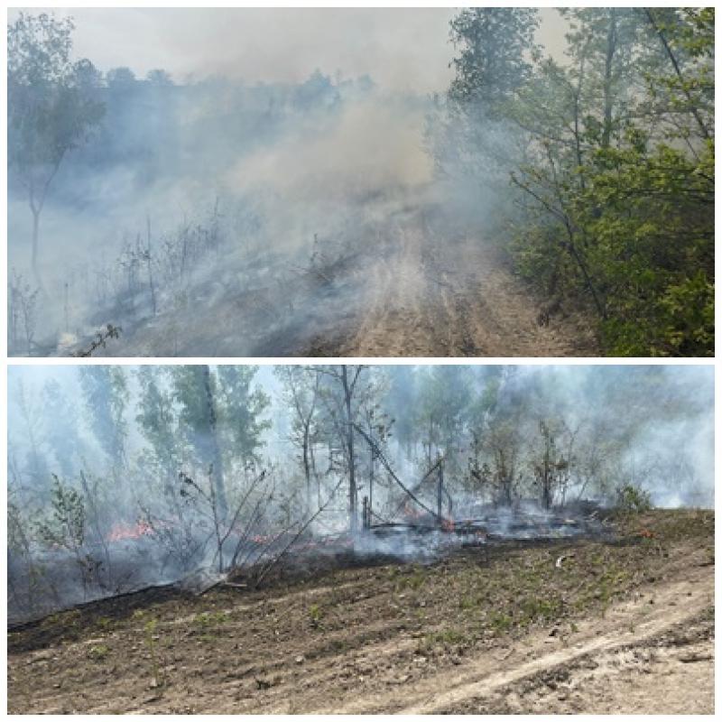 Incendiu de vegetație pe o suprafață de 4 hectare lichidat de pompierii din Gurahonț
