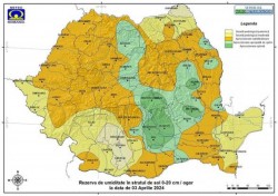 Pământul plânge după apă. Rezerva de umiditate la cultura grâului de toamnă este doar satisfăcătoare în județul Arad