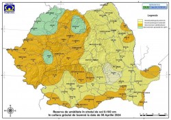 Fermierii arădeni îngrijorați! Rezerva de umiditate în cultura grâului de toamnă prezintă doar valori satisfăcătoare

