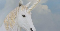 9 aprilie - Ziua Mondială a Unicornului. Informații interesante despre unicorni