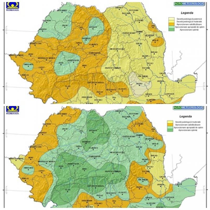 Rezerva de umiditate în culturile grâului de toamnă și de porumb în județul Arad este satisfăcătoare, iar în unele zone chiar apropiată de optim