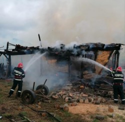 Șase porci au murit în urma unui incendiu la un adăpost de animale din Sebiș. Proprietarii, soț și soție, au suferit atacuri de panică

