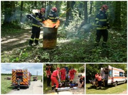 Exercițiu de amploare, desfășurat de pompierii militari arădeni pentru optimizarea intervenției în caz de incendiu la fondul forestier
