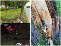Patru copaci puși în siguranță pe Bd. Revoluției după ce au fost afectați de un accident 