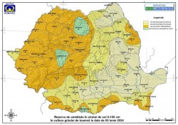 Se anunță recolte bogate de grâu în județul Arad. Gradul de aprovizionare cu apă prezintă valori satisfăcătoare