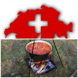 CLIPA DE EURO: Gulașul unguresc nu i-a impresionat pe băieții din Țara Cantoanelor. Ungaria – Elveția 1 – 3
