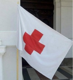 Au fost activate cele trei puncte anticaniculă din municipiul Arad

