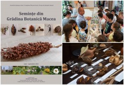 Expoziția „Semințe din Grădina Botanică Macea” la Muzeul de Științe ale Naturii în perioada 19 iunie - 29 septembrie