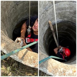 Pisică buclucașă salvată de pompieri după ce a căzut într-o fântână din satul Horia
