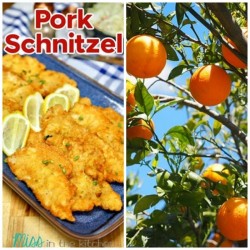CLIPA DE EURO: Schnitzelul a stors ”portocala mecanică”. Austria peste Franța, Olanda și Polonia. Lewandowski și colegii lui au intrat în vacanță. Olanda – Austria 2 – 3. Franța – Polonia 1 – 1