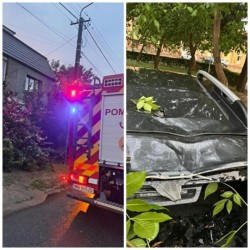 Pompierii arădeni au intervenit din nou la degajarea străzilor de copacii căzuți în urma furtunii
