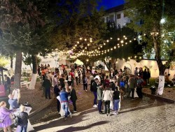 Vin la curte – ediția a 2-a, în acest weekend la Biblioteca Arad


