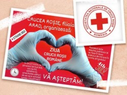 Ziua Crucii Roșii Române sărbătorită la ștrandul ”Bidi” din Arad

