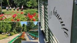 „La băncuțe” redevine locul de întâlnire cu programele estivale ale Filarmonicii Arad - Program