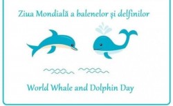 23 iulie - Ziua Mondială a balenelor şi delfinilor (World Whale and Dolphin Day)