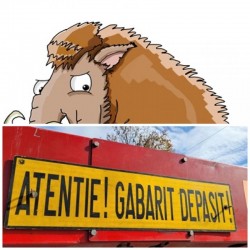 O matahală de peste 100 de tone va da de furcă șoferilor arădeni


