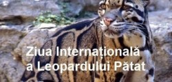 4 august - Ziua Internațională a Leopardului Pătat