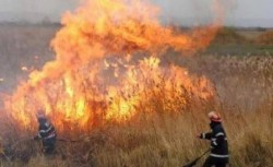 Zile de foc pentru pompierii arădeni. Nu mai puțin de 12 incendii de vegetație uscată și miriște lichidate în ultimul weekend în județul Arad

