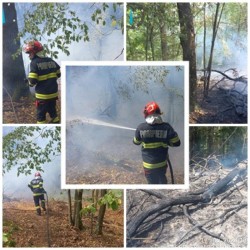 Pădure salvată de flăcări de pompierii arădeni