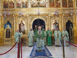 ÎPS Timotei Seviciu - Cetățean de Onoare al Județului Arad