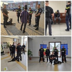 Rail Action Week în Arad