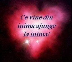 29 septembrie - Ziua Mondială a Inimii. Bolile cardiovasculare, principala cauză de deces pe plan mondial

