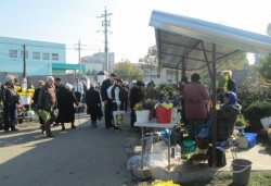 Amplasamente pentru comerțul cu flori în Municipiul Arad de ”Ziua Morților”