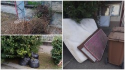 Curătenia de toamnă – programul de colectare a biodeșeurilor voluminoase