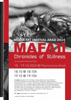 Media Art Festival Arad la Filarmonică


