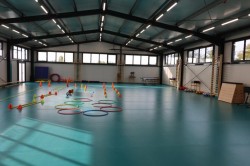 Omul sfințește locul la Zimandu Nou. Sală de sport nouă și școală reabilitată